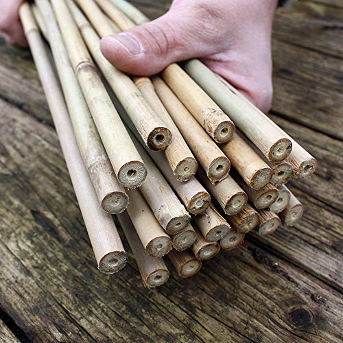 100 Bambusstäbe - Bambusstangen 152 cm lang/ 10-12 mm dick von Native Plants