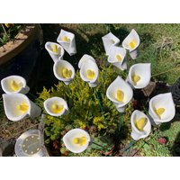 Kleine Blumenstecker Bunt Keramik Handgetöpfert Neu Wunderschön Verschiedene Farben Mengenrabatt 4 Stk. 10 Euro, 20 Euro von GartenkeramikundDeko