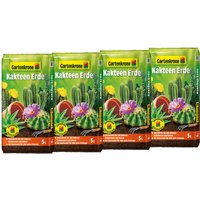 Gartenkrone Kakteenerde, 4 x 5L, Karton - braun von Gartenkrone