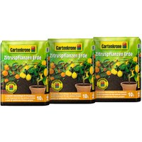 Gartenkrone Zitruspflanzernerde, 3 x 10L, Karton - braun von Gartenkrone