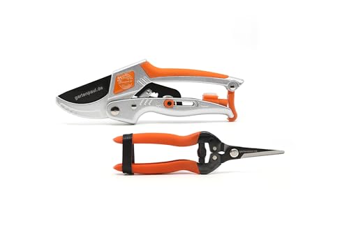 Gartenpaul Gartenscheren Set – Ratschengartenschere 2.0 & Blumenschere | Ergonomisch, stark & präzise Gartenpaul Gartenscheren Set – Ratschengartenschere 2.0 & Blumenschere | Ergonomisch, stark & präzise von Gartenpaul