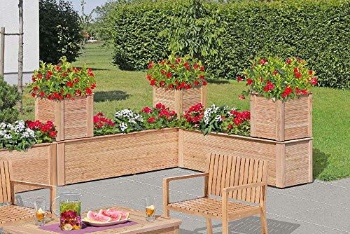 Gartenpirat Pflanzkastensystem Astrantia Lärche Natur massiv, Außenmaße:38 x 38 x 39 cm Gartenpirat Pflanzkastensystem Astrantia Lärche Natur massiv, Außenmaße:38 x 38 x 39 cm von Gartenpirat