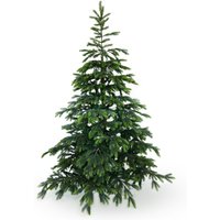 Künstlicher Weihnachtsbaum 180 cm BonTree Fichte von Gartenpirat