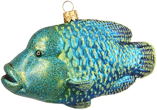 Gartenschätze Christbaumschmuck-Weihnachtskugel-Napoleon-Lippfisch 10 cm 21981 Gartenschätze Christbaumschmuck-Weihnachtskugel-Napoleon-Lippfisch 10 cm 21981 von Gartenschätze