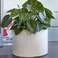 2er Set runde Pflanzschale aus Polystone - weiß glänzend - Feltria 2er Set runde Pflanzschale aus Polystone - weiß glänzend - Feltria von Gartentraum.de