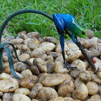 Bronze Froschskulptur mit Schilf und rotem Käfer - Blauer Frosch mit Käfer von Gartentraum.de