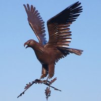 Edelrost Design Gartenfigur Steinadler - Adelaar / Stahl - Rost von Gartentraum.de