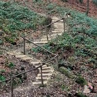 Einzigartige Baumstamm Treppe mit Handlauf aus Holz - Baumstamm-Treppe von Gartentraum.de