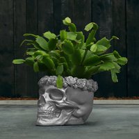 Einzigartiger Pflanztopf aus Beton - Totenschädel mit Rosen - Gangain / 13x15x19cm (HxBxT) / Silber glänzend von Gartentraum.de