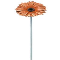 Farbige Bronzeblume für den Garten mit Stiel - Gerbera / Orange / 40 von Gartentraum.de