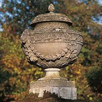 Historische Stein Kreuzblume - Bagrat / Sand von Gartentraum.de