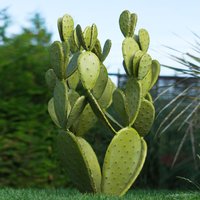 Imposanter hellgrüner Deko Kaktus aus Metall - Niara L von Gartentraum.de