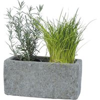 Naturstein Pflanzgefäß für 12er-Töpfe - Plateia von Gartentraum.de