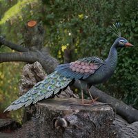 Pfau mit Pfauenfedern aus Metall - Bunte Garten Vogelfigur - Pfau Renee von Gartentraum.de