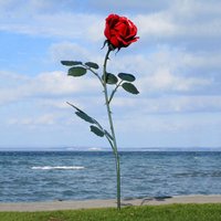 XXL Gartenrose aus Stahl mit Details aus Handarbeit - Rosera / Stahl - Rost von Gartentraum.de