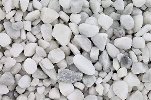 Gartenwelt Riegelsberger 1 kg Carrara Marmor Kies gewaschen Körnung 7-15 mm Marmorkies weiß schneeweisser Kieselsteine Zierkies Steine Deko Garten von Gartenwelt Riegelsberger