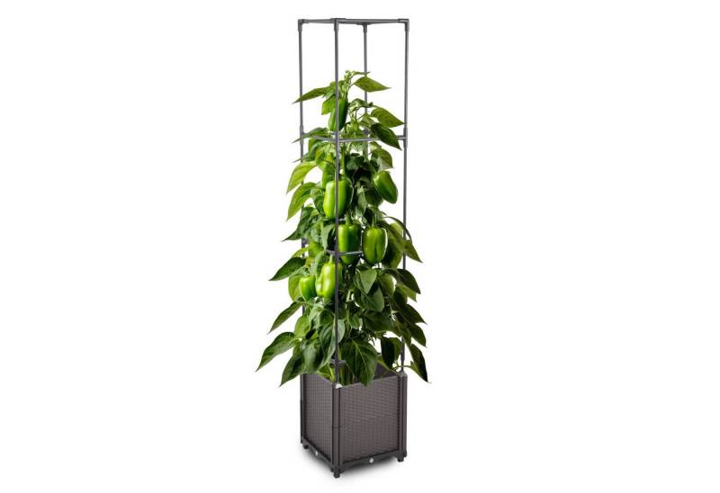 Gartenwelt Riegelsberger Blumenkasten Set mit Rankhilfe 4 Ebenen 30x30xH164 cm Pflanzgefäß für innen außen von Gartenwelt Riegelsberger