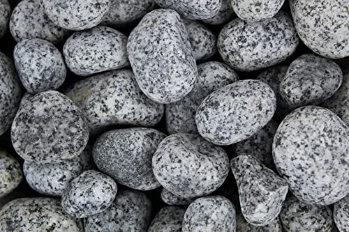 Gartenwelt Riegelsberger Gletscher Kies Royal Zierkies Gartenkies Teichkies Deko Wegkies Wegsteine Gartenweg 25 kg Sack, Körnung 25-40 mm von Gartenwelt Riegelsberger