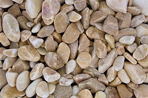 Gartenwelt Riegelsberger Kies 5 kg Naturkies gewaschen Giallo Siena Körnung 15-25 mm Gartenkies Teichkies Dekokies Deko Wegkies Wegsteine Zierkies Gartenwelt Riegelsberger Kies 5 kg Naturkies gewaschen Giallo Siena Körnung 15-25 mm Gartenkies Teichkies Dekokies Deko Wegkies Wegsteine Zierkies von Gartenwelt Riegelsberger