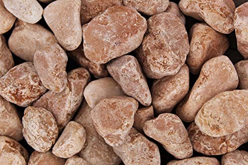 Gartenwelt Riegelsberger Kies 5 kg Naturkies gewaschen Rosso Verona Körnung 25-40 mm Gartenkies Teichkies Dekokies Deko Wegkies Wegsteine Zierkies Gartenwelt Riegelsberger Kies 5 kg Naturkies gewaschen Rosso Verona Körnung 25-40 mm Gartenkies Teichkies Dekokies Deko Wegkies Wegsteine Zierkies von Gartenwelt Riegelsberger