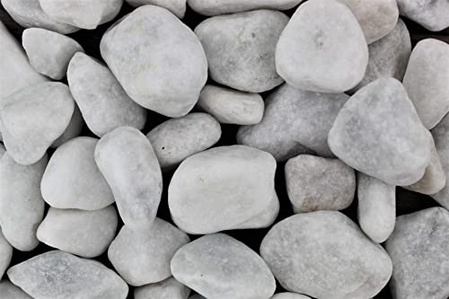 Gartenwelt Riegelsberger Marmorkies Carrara Kies Marmor rein weiß schneeweisser Zierkies Gartenkies Teichkies Deko Wegkies Wegsteine Gartenweg 25 kg Sack, Körnung 25-40 mm von Gartenwelt Riegelsberger