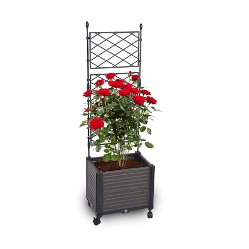 Gartenwelt Riegelsberger Pflanzkasten mit Spalier auf Rädern Größe 41x30xH125 cm Rankgitter für Kletterpflanzen innen und außen von Gartenwelt Riegelsberger