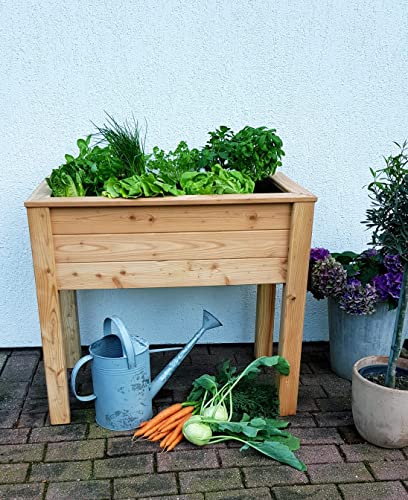 Gartenwelt Riegelsberger Stelzenhochbeet aus Lärche naturbelassen 120x45x75 cm Pflanzbeet Kräuterbeet Gemüsebeet von Gartenwelt Riegelsberger