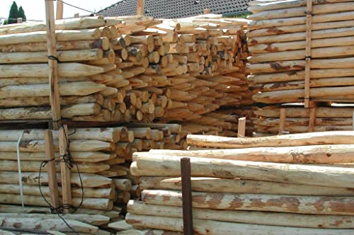 Gartenwelt Riegelsberger Zaunpfahl gespitzt Ø 5-7 cm Länge 195 cm Kastanienholz französische Kastanie Zaunlatte Zaunbretter Gartenwelt Riegelsberger Zaunpfahl gespitzt Ø 5-7 cm Länge 195 cm Kastanienholz französische Kastanie Zaunlatte Zaunbretter von Gartenwelt Riegelsberger