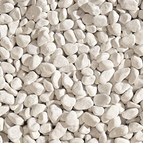 Marmorkies Carrara Kies Marmor rein weiß schneeweisser Zierkies Gartenkies Teichkies Deko Wegkies Wegsteine Gartenweg 25 kg Sack, Körnung 15-25 mm von Gartenwelt Riegelsberger