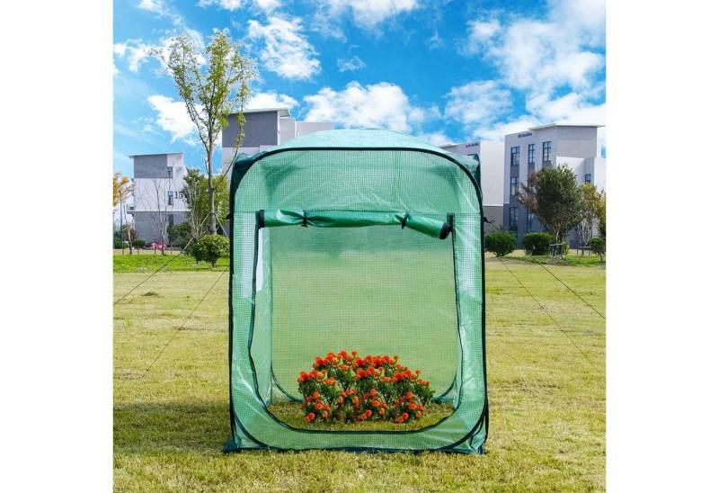 GarveeMore Gewächshaus Pop Up Gewächshaus Zelt Großes Walk-in Blumenhaus mit Abdeckung GarveeMore Gewächshaus Pop Up Gewächshaus Zelt Großes Walk-in Blumenhaus mit Abdeckung von GarveeMore