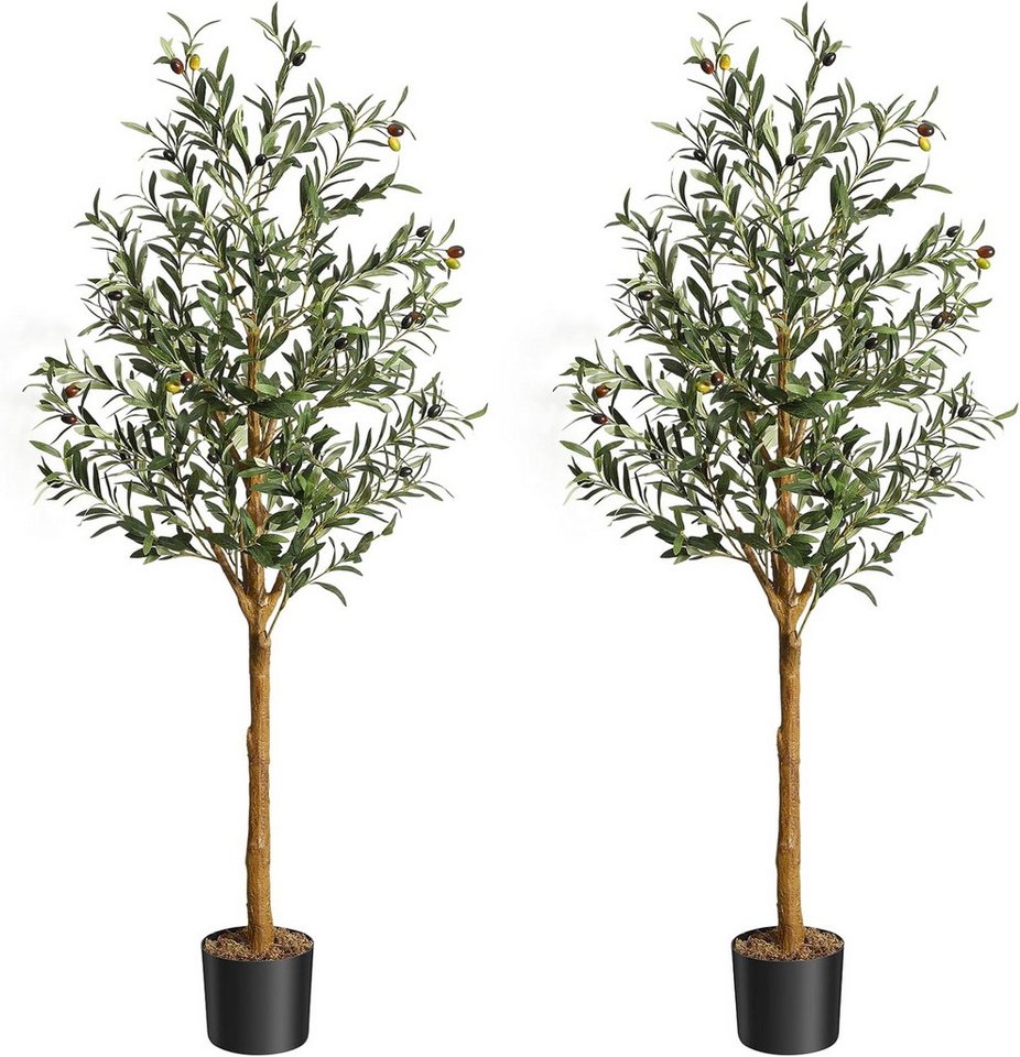 Kunstbaum Künstlicher Olivenbaum,mit Moos,schwarzer Anzuchttopf, GarveeMore, Höhe 152 cm, Kunstseidenpflanze,gestalteter Kunstholzstamm und realistische Früchte Kunstbaum Künstlicher Olivenbaum,mit Moos,schwarzer Anzuchttopf, GarveeMore, Höhe 152 cm, Kunstseidenpflanze,gestalteter Kunstholzstamm und realistische Früchte von GarveeMore