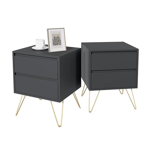 Garvis Nachttisch 2er Set, schmal, Beistelltisch mit 2 Schubladen Nachtschrank Mit goldenen Beinen Schlichter Beistelltisch für Schlafzimmer, Wohnzimmer (Grau) von Garvishk