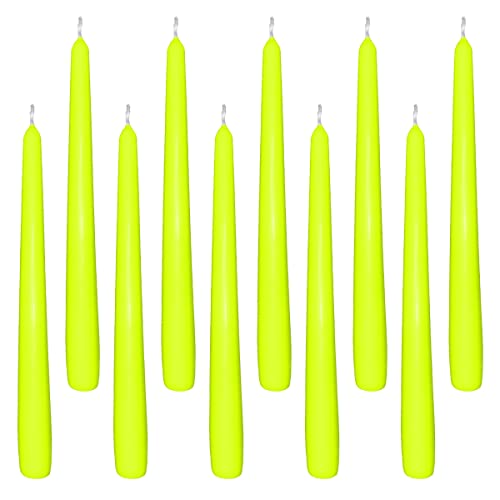 10 Spitzkerzen limette 23,5 x 245 mm von Gastro
