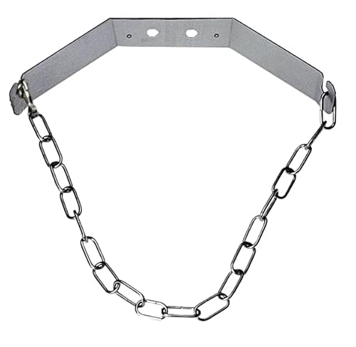 Gastrobedarf Westerbarkey Flaschenhalter Wandhalter für Co² Kohlensäureflaschen von Gastrobedarf Westerbarkey