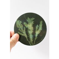 Seaweed Dreams Coaster Set - Vom Meer Inspirierte Wohnkultur, Küstenästhetik, Strandhaus-Must-Have Seaweed Dreams Coaster Set - Vom Meer Inspirierte Wohnkultur, Küstenästhetik, Strandhaus-Must-Have von GatherGoodsCompany