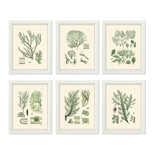 Gatheroad Wandkunst-Set mit 6 grünen Ozean-Korallen, ungerahmt, antike Küstendrucke, Boho-Marine-Pflanzendekoration für Wohnzimmer, Badezimmer, Schlafzimmer und Strandhaus von Gatheroad