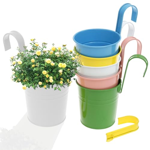 5 Stück blumentopf hängend Balkon Metall mit Haken Ø 10/8cm H 16cm blumentöpfe zum aufhängen mit Abflusslöcher hängeblumentopf Outdoor Garten für Terrasse Sukkulenten Kräuter von Gatphy