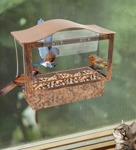 Vogelfutterhaus Zum Aufhängen Fenster Futterhaus für Vögel mit Abnehmbare Ablage Starker Saugnapfhaken Futterstationen Metall Wetterfest Rostfrei Vintage für Senioren Großeltern Garten von Gatphy