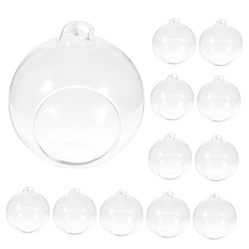 Gatuida 12 Stück Teiliges Microlandscape Terrarium Hängende Globe Vasen aus Klarem Modernes Minimalistisches Design für Tillandsien Sukkulenten und Kreative Wohn oder Gartendeko von Gatuida