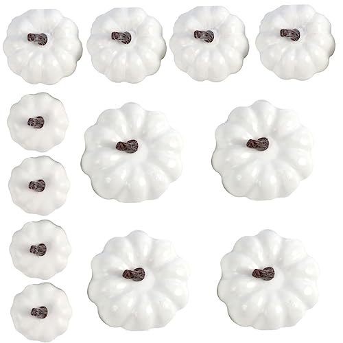 Gatuida 12 Stück Teiliges Mini Kürbis Dekorationsset Realistische Künstliche Halloween und Herbst Dekoration Detailgetreue Fotorequisiten für Tisch Vase und DIY Gestaltung Gatuida 12 Stück Teiliges Mini Kürbis Dekorationsset Realistische Künstliche Halloween und Herbst Dekoration Detailgetreue Fotorequisiten für Tisch Vase und DIY Gestaltung von Gatuida