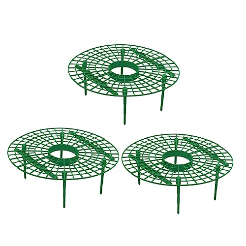Gatuida 3 Stück Teiliges Rattan Rankhilfen Set für Erdbeeren Kunststoff Pflanzstützen für Kletterpflanzen zur Unterstützung und Sauberhaltung Beeren Garten und Gewächshaus von Gatuida