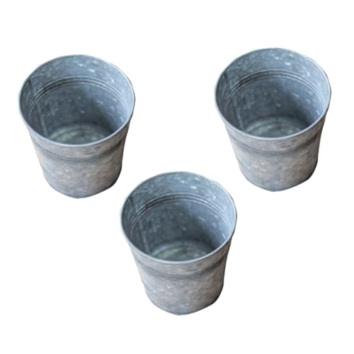 Gatuida 3 Stück Teiliges Retro Eisen Pflanzkübel Vielseitiger Sukkulenten Blumentopf Rustikaler Metallbehälter für Innen Gartendekoration Kompakte für Sims und Schreibtisch Gatuida 3 Stück Teiliges Retro Eisen Pflanzkübel Vielseitiger Sukkulenten Blumentopf Rustikaler Metallbehälter für Innen Gartendekoration Kompakte für Sims und Schreibtisch von Gatuida