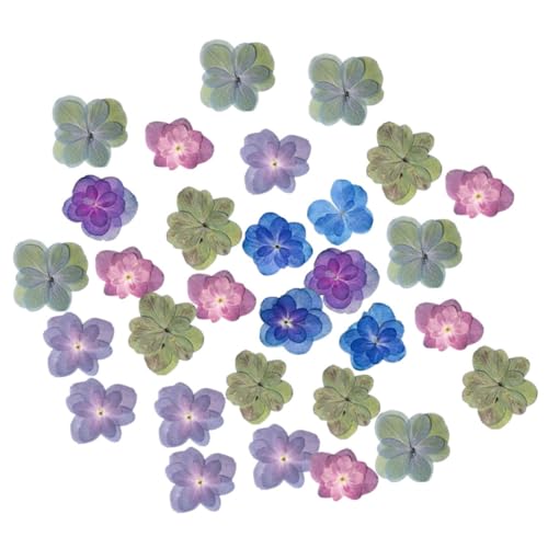 Gatuida 30 Stück Teiliges Natürliche Getrocknete Gepresste Blüten Schwere Hortensien für DIY Harz Schmuck Kerzen Dekoration Scrapbooking Basteln Kreative Pflanzenmotive Gatuida 30 Stück Teiliges Natürliche Getrocknete Gepresste Blüten Schwere Hortensien für DIY Harz Schmuck Kerzen Dekoration Scrapbooking Basteln Kreative Pflanzenmotive von Gatuida