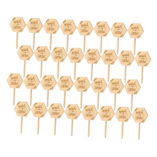Gatuida 40 Stück Teiliges Naturholz Pflanzenschild Wetterfeste Gartenstecker mit Spitzem Design Leicht und Tragbar für Töpfe Gewächshäuser und Outdoor Pflanzenmarkierung von Gatuida