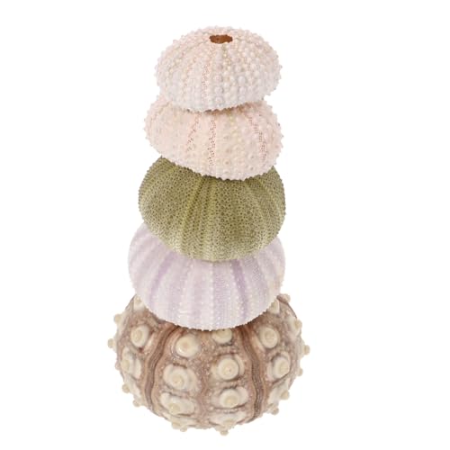Gatuida 5 Stück Natürliche Seeigel Schalen Pflanzgefäße für Luftpflanzen Kleine Dekorative Bonsai Übertöpfe Geeignet für Aquarium Dekoration Terrarien und Wohnraumgestaltung Gatuida 5 Stück Natürliche Seeigel Schalen Pflanzgefäße für Luftpflanzen Kleine Dekorative Bonsai Übertöpfe Geeignet für Aquarium Dekoration Terrarien und Wohnraumgestaltung von Gatuida
