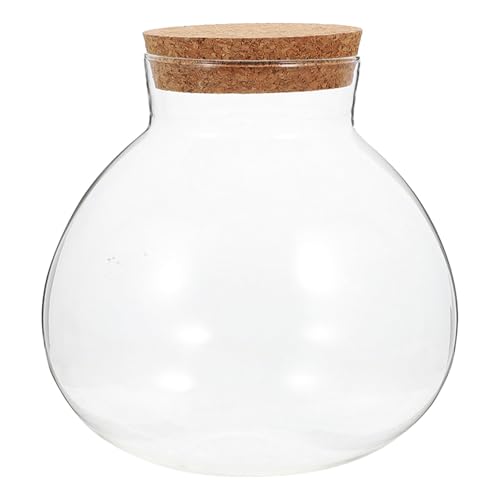 Gatuida Glasterrarium mit luftdichtem Korkdeckel: Geschlossener Terrarium-Pflanztopf für den Schreibtisch – durchsichtiger Flaschen-Pflanzgefäßbehälter für DIY-Moos-Innendekoration von Gatuida