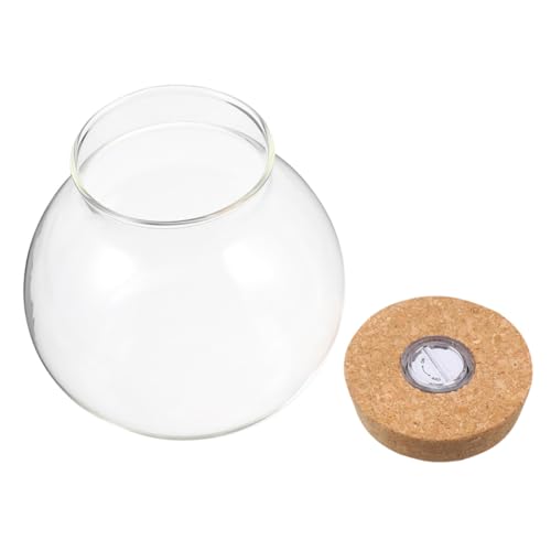 Gatuida Glasvase mit Korkverschluss Terrarium Glas Pflanzgefäß mit Led-licht Runder Hydroponik Pflanzbehälter für Indoor und Outdoor umweltfreundliche Flasche für Desktop von Gatuida