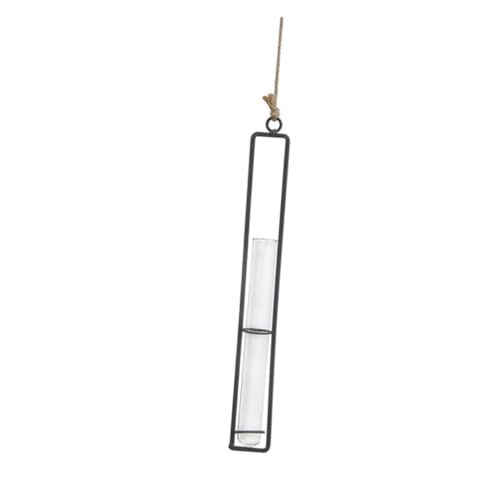 Gatuida Hängender Eisen Blumentopf mit Glasvase Transparent Mittelgroß Stabiles Eisenrahmen Pflanzgefäß für Zimmerpflanzen Wohnraumdekoration Büro Garten Hochzeit Gatuida Hängender Eisen Blumentopf mit Glasvase Transparent Mittelgroß Stabiles Eisenrahmen Pflanzgefäß für Zimmerpflanzen Wohnraumdekoration Büro Garten Hochzeit von Gatuida