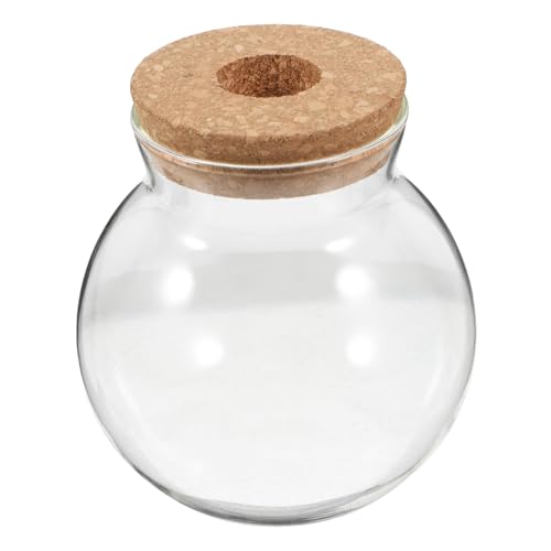 Gatuida Hydroponisches Glas Terrarium mit Korkdeckel Transparentes Mikrolandschaftsglas für Pflanzen Fischschale und Dekoration Kompakte Glasvase für Büro und Zuhause Gatuida Hydroponisches Glas Terrarium mit Korkdeckel Transparentes Mikrolandschaftsglas für Pflanzen Fischschale und Dekoration Kompakte Glasvase für Büro und Zuhause von Gatuida