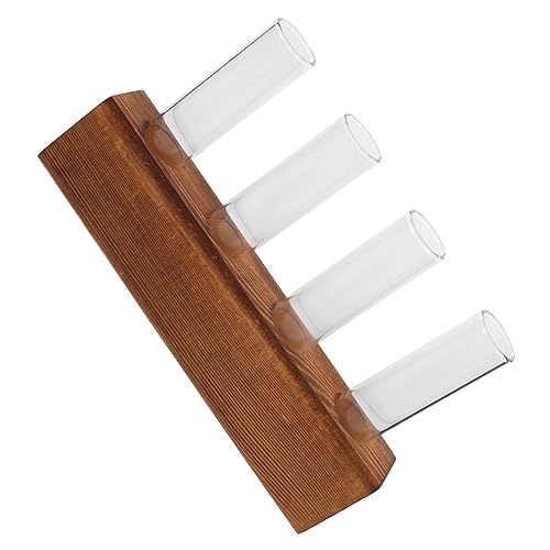 Gatuida Glas-pflanzgefäß Für Hydrokulturpflanzen Vasen-dekor Für Schreibtisch Hydrokultur-vasen-dekor Für Zuhause Tabletop-Terrarium Für Pflanzen-wachstum von Gatuida